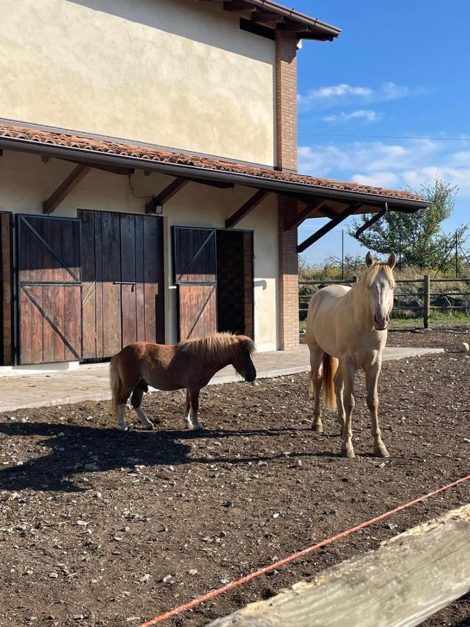 הוילה Vernasca Agriturismo Cergallina מראה חיצוני תמונה