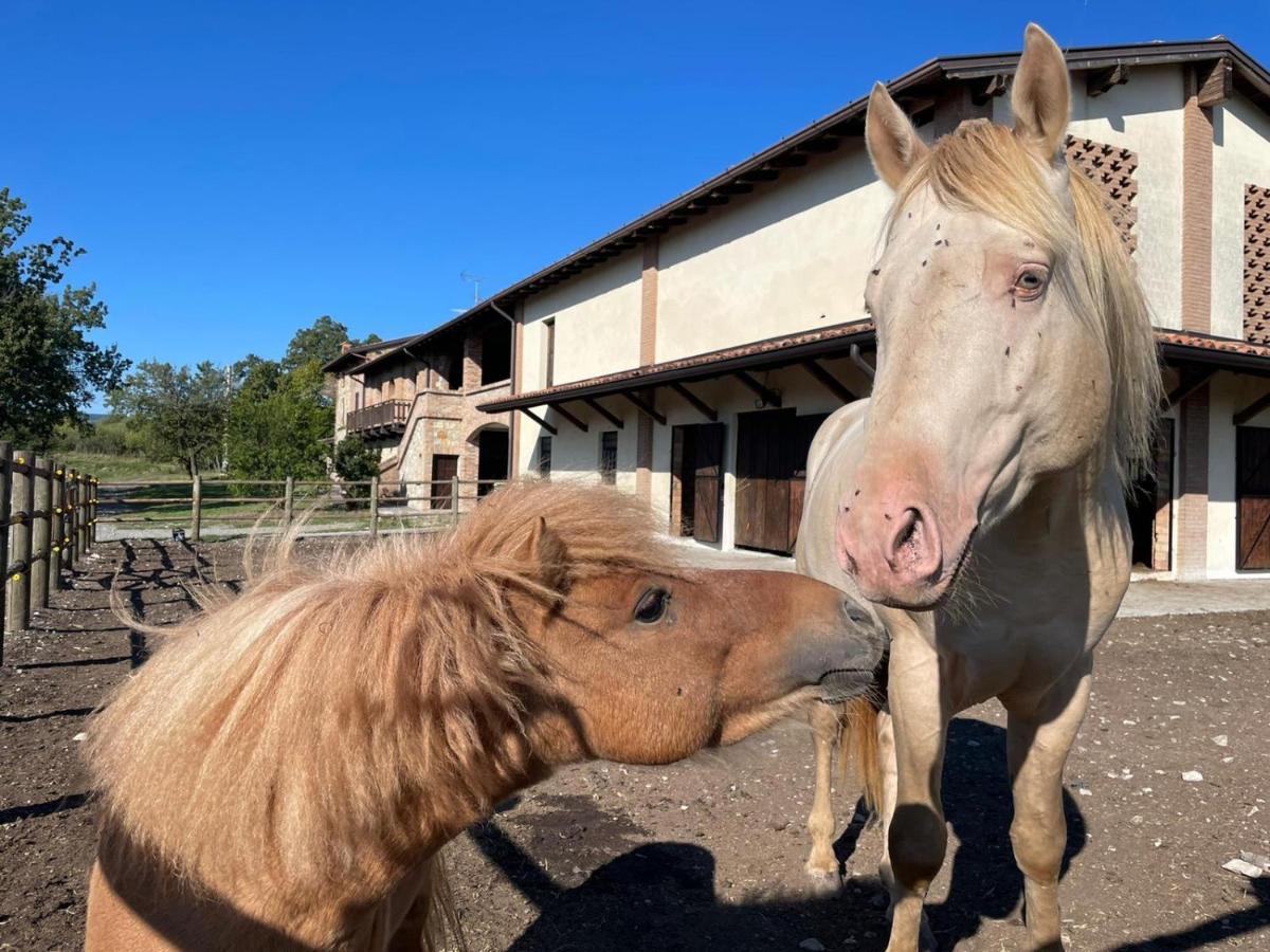 הוילה Vernasca Agriturismo Cergallina מראה חיצוני תמונה